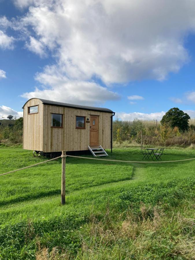 Shepherd's Huts In Barley Meadow At Spring Hill Farm Oxford