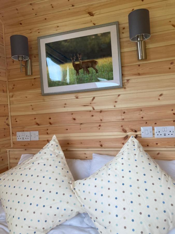 Campo de lujo Shepherd's Huts In Barley Meadow At Spring Hill Farm Oxford