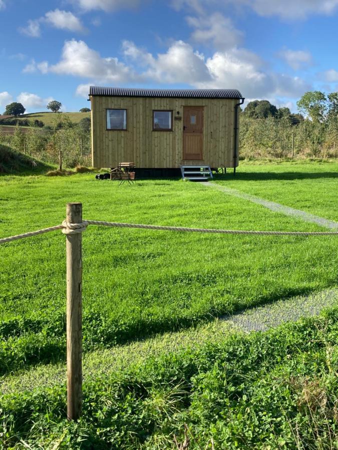 Shepherd's Huts In Barley Meadow At Spring Hill Farm Campo de lujo Oxford